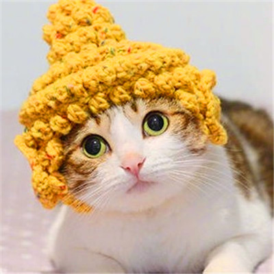 微信猫咪情侣头像可爱