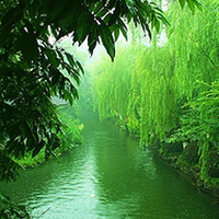 qq头像意境风景图片