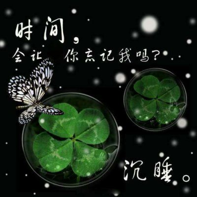 好看四叶草头像图片唯美清纯