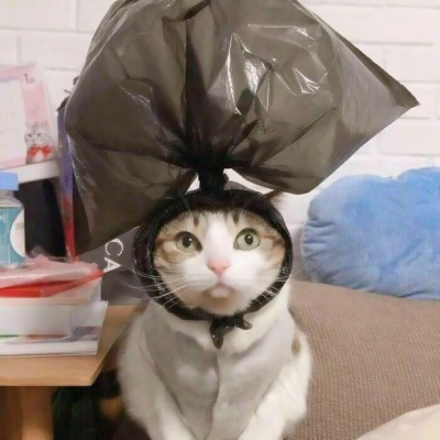 沙雕搞怪情头一左一右