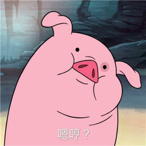 可爱萌宠小猪头像图片