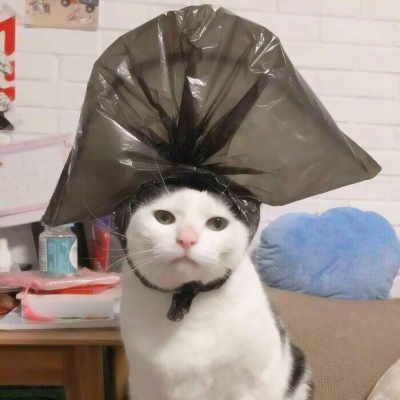 沙雕搞怪情头一左一右