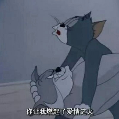 汤姆猫头像图片