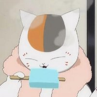 可爱动漫猫咪老师头像图片