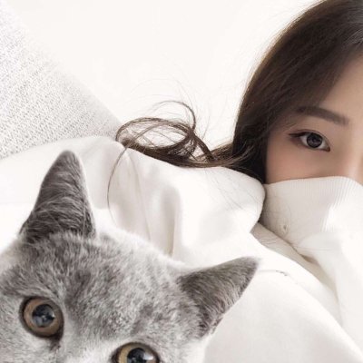 唯美女生抱猫头像