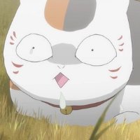 可爱动漫猫咪老师头像图片