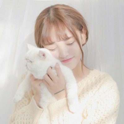 唯美女生抱猫头像