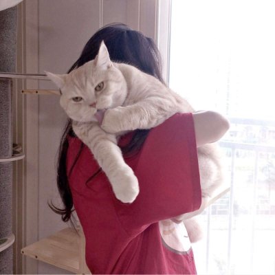 唯美女生抱猫头像