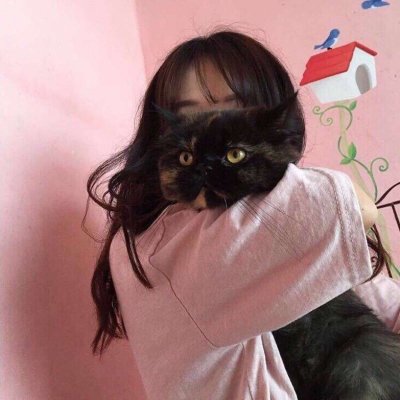 唯美女生抱猫头像