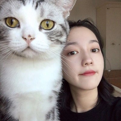 唯美女生抱猫头像