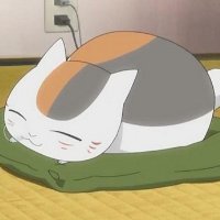 可爱动漫猫咪老师头像图片
