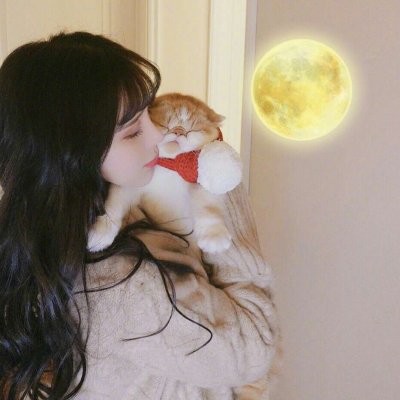 唯美女生抱猫头像