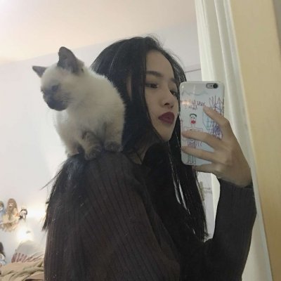 唯美女生抱猫头像