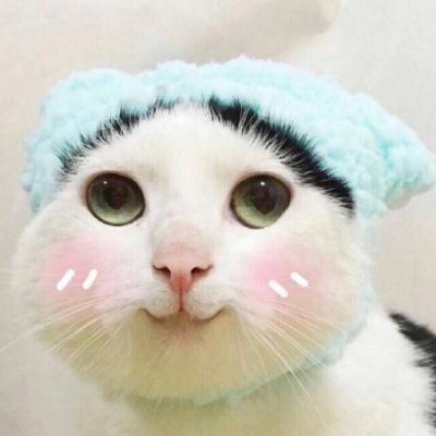 可爱调皮猫头微信头像图片