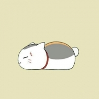 可爱动漫猫咪老师头像图片