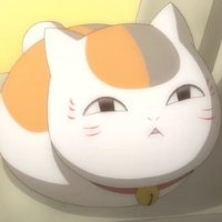 可爱动漫猫咪老师头像图片
