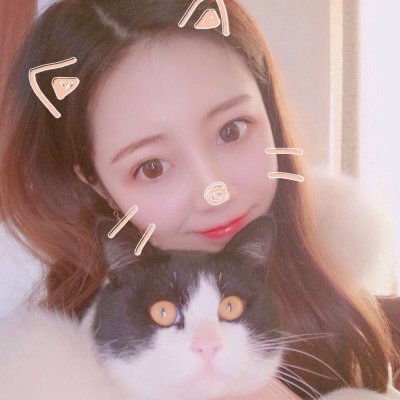 唯美女生抱猫头像