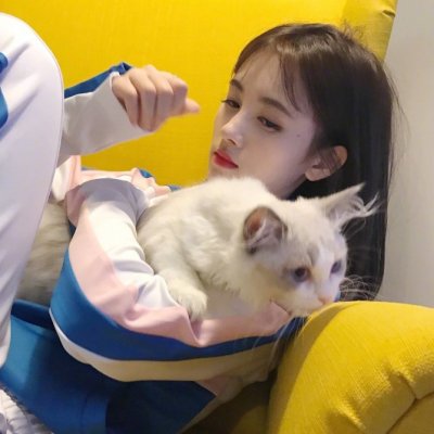 唯美女生抱猫头像