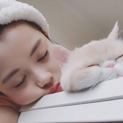 唯美女生抱猫头像