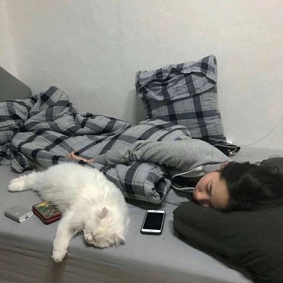 唯美女生抱猫头像