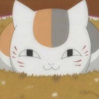 可爱动漫猫咪老师头像图片