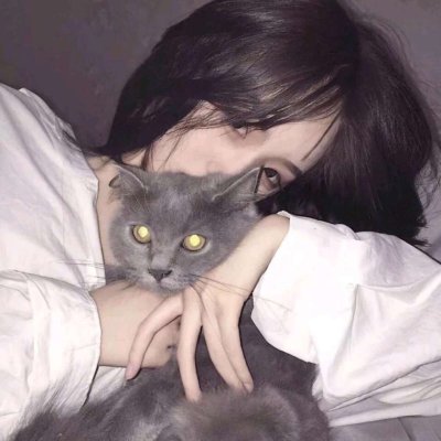 唯美女生抱猫头像