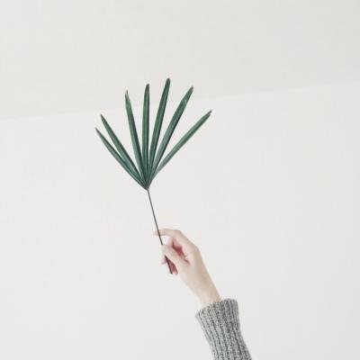 安静美好头像图片