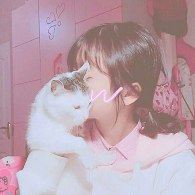 唯美女生抱猫头像