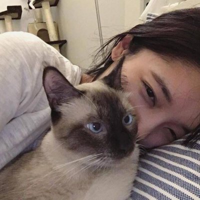 唯美女生抱猫头像