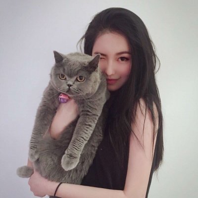 唯美女生抱猫头像