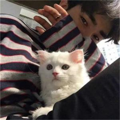 qq头像男生抱着猫帅气图片