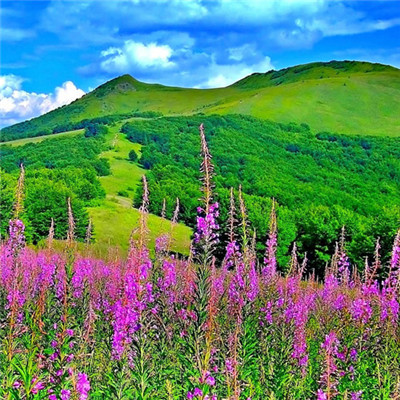 给自己带好运风景头像