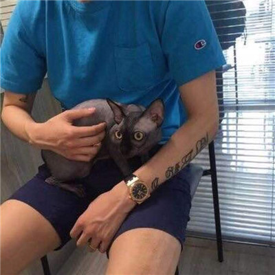 qq头像男生抱着猫帅气图片