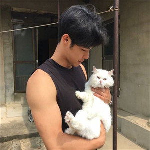 男生的头像抱小猫咪