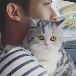 男生的头像抱小猫咪