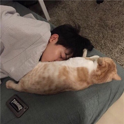 qq头像男生抱着猫帅气图片