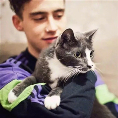 qq头像男生抱着猫帅气图片