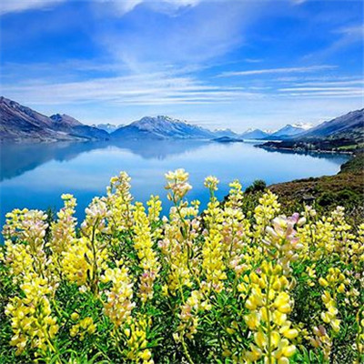 微信头像唯美意境风景