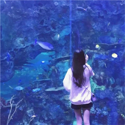情头一对两张分开背影图片