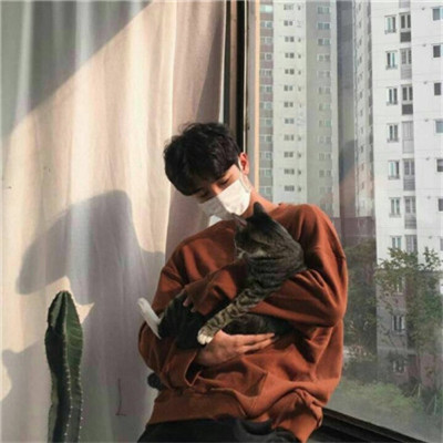qq头像男生抱着猫帅气图片