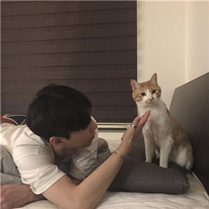 男生的头像抱小猫咪