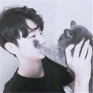 男生的头像抱小猫咪