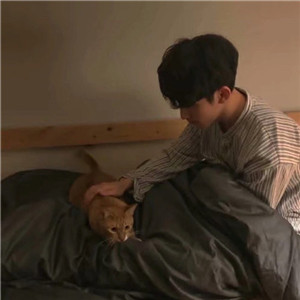 男生的头像抱小猫咪
