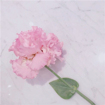 女人最旺财的微信头像好运