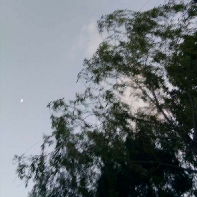 月亮风景治愈头像