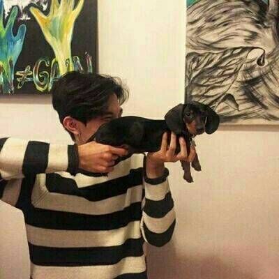 搞笑头像男生微信逗比个性高清图片