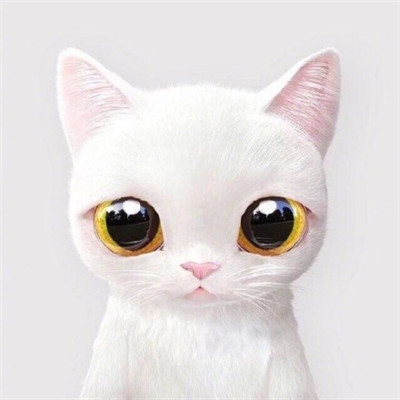 超可爱的猫情侣头像图片