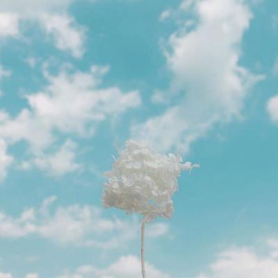 唯美头像小清新风景