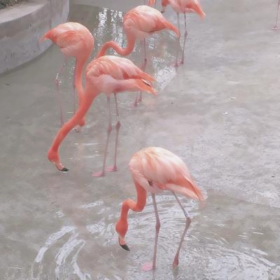 能带来好运的微信风景头像