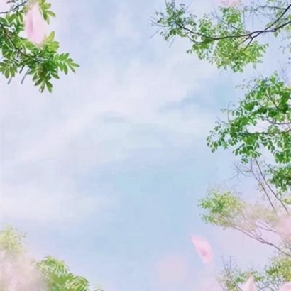 2025年图片唯美最新图片头像